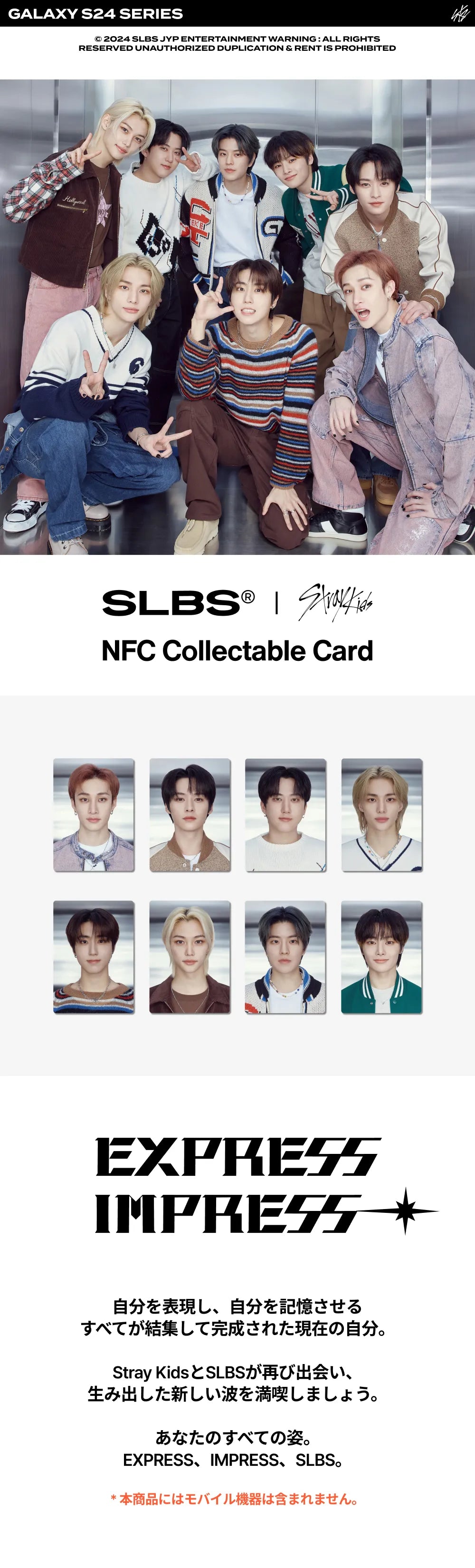 StrayKids NFC Collectable Card_I.N